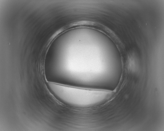 X0000081561321200701150949