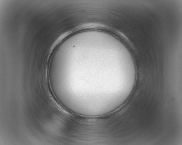 X0000081561322200701150949
