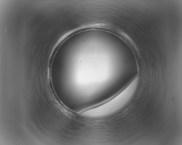 X0000081561324200701150949