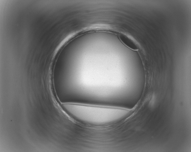 X0000081561325200701150949