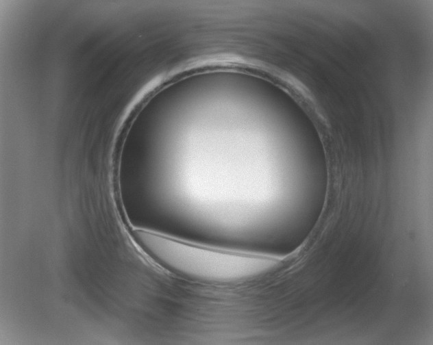 X0000081561326200701150949