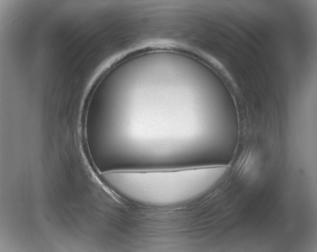 X0000081561327200701150949