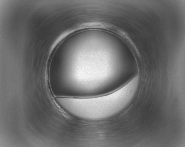 X0000081561328200701150949