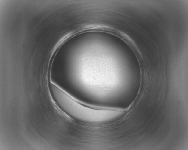 X0000081561330200701150949