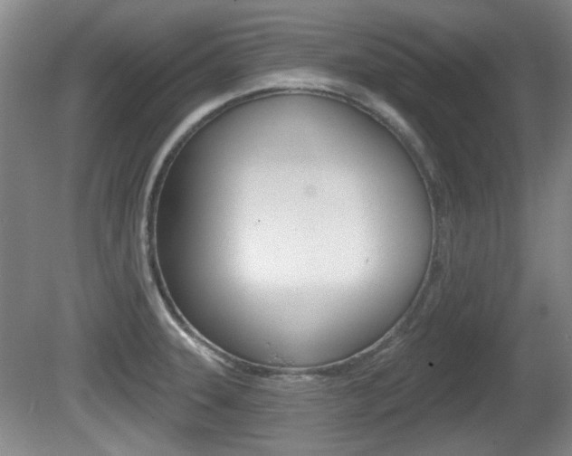 X0000081561331200701150949