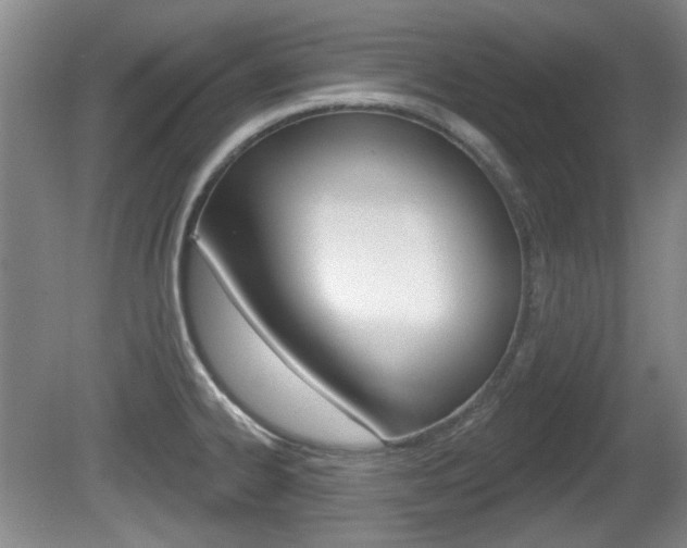 X0000081561334200701150950