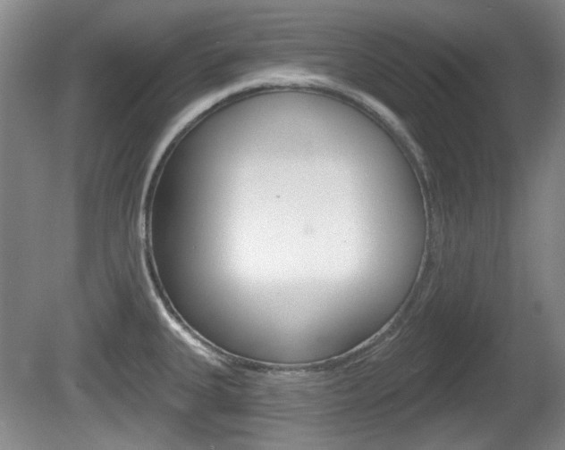 X0000081561335200701150950
