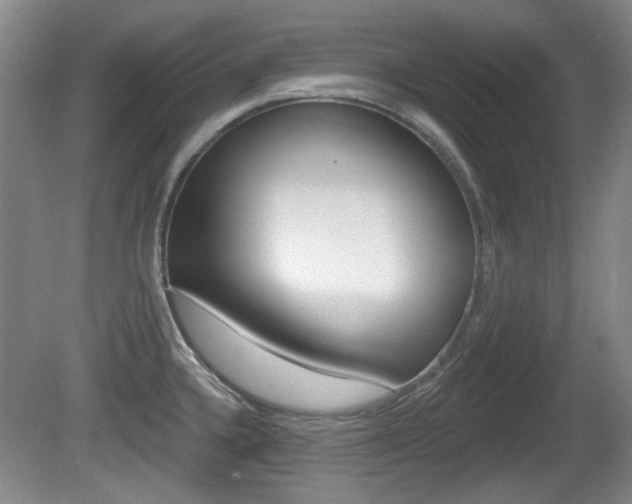 X0000081561336200701150950