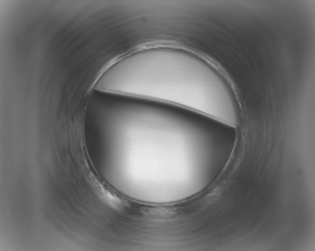 X0000081561337200701150950