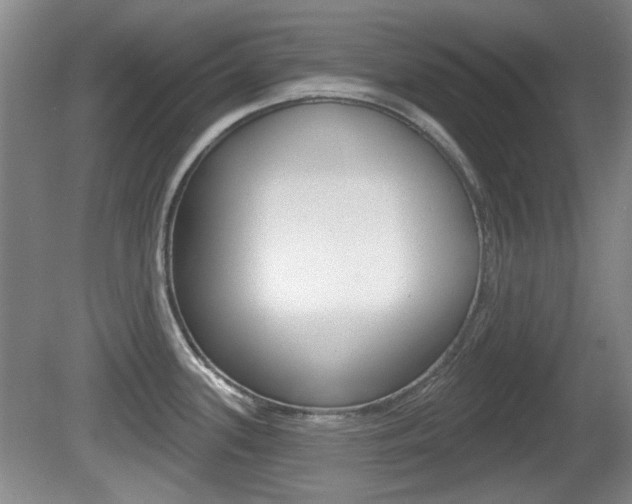 X0000081561339200701150950