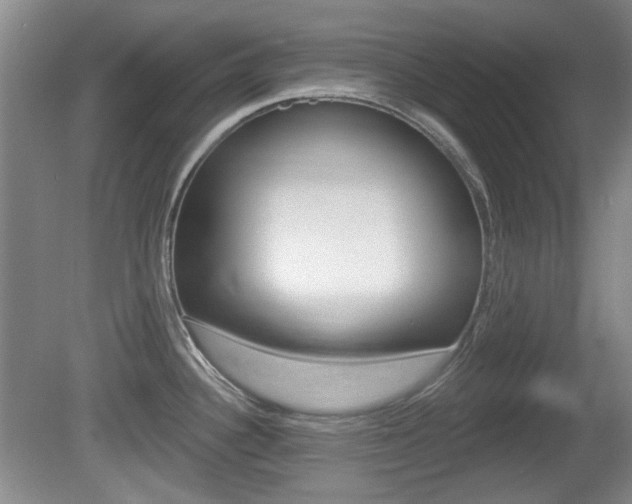 X0000081561340200701150950