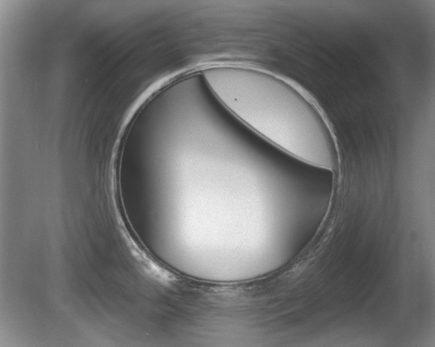 X0000081561341200701150950