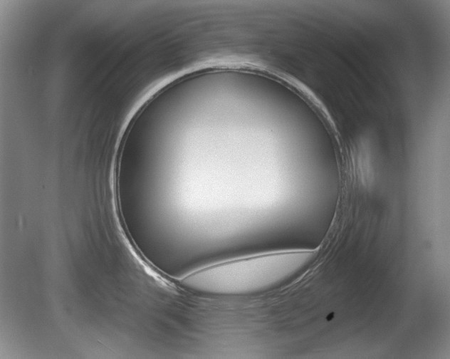 X0000081561343200701150950