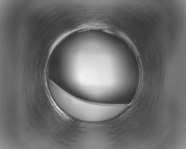 X0000081561344200701150950