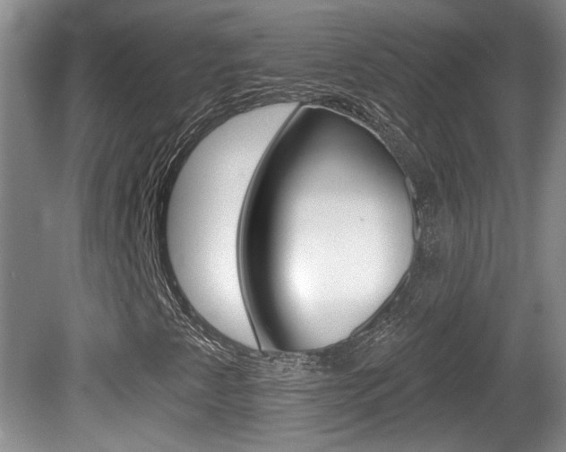 X0000081561345200701150949