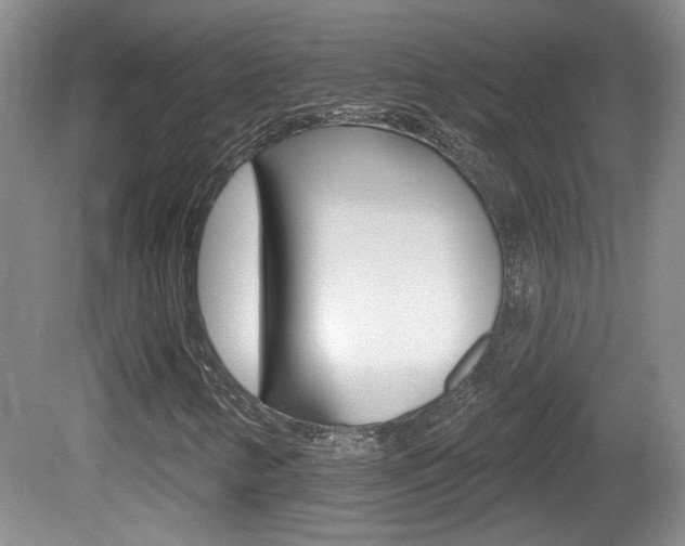X0000081561346200701150949