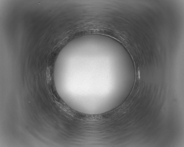 X0000081561347200701150949