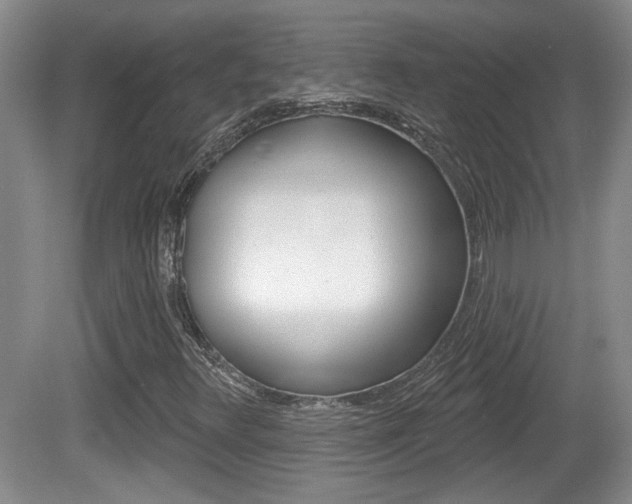 X0000081561348200701150949