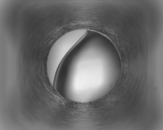 X0000081561349200701150949