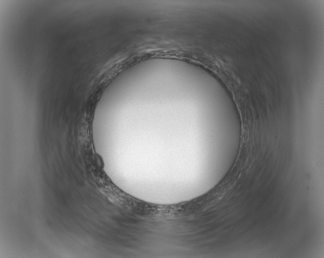 X0000081561350200701150949