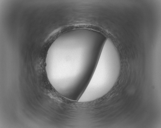 X0000081561351200701150949