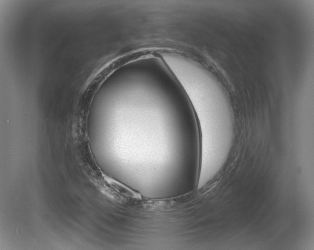X0000081561352200701150949