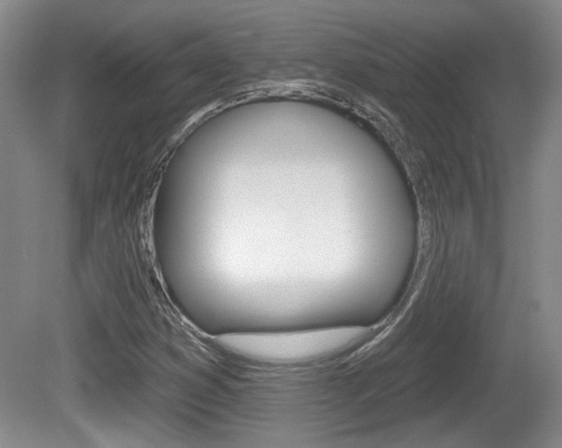 X0000081561353200701150949