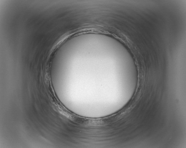 X0000081561354200701150949
