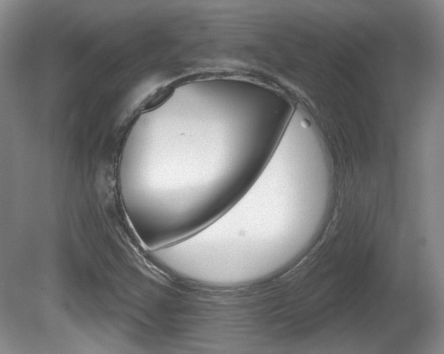 X0000081561355200701150949
