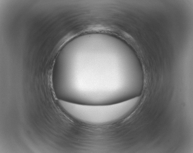 X0000081561361200701150949