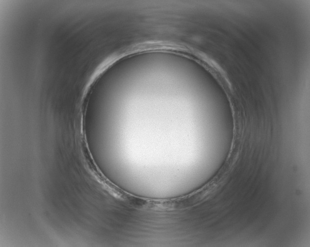 X0000081561365200701150949