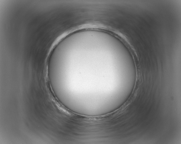 X0000081561366200701150949