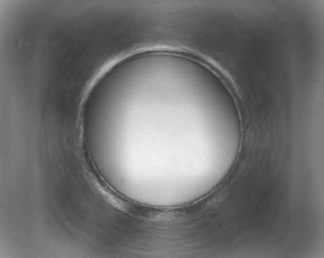 X0000081561367200701150948