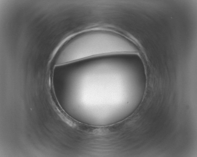 X0000081561368200701150948