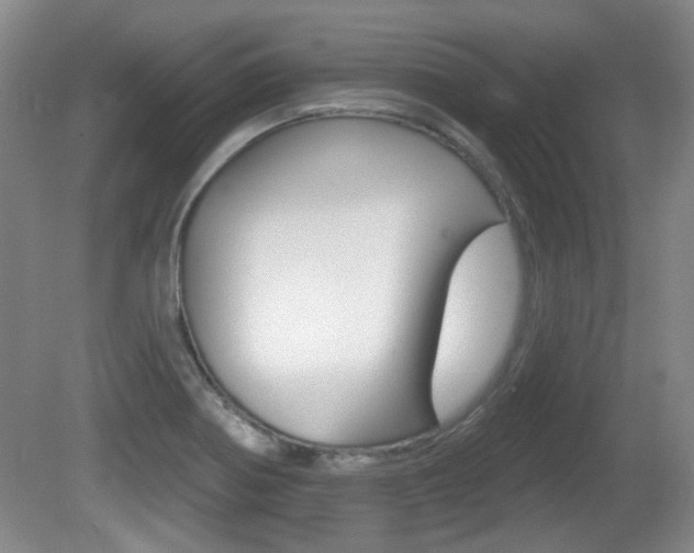 X0000081561370200701150948