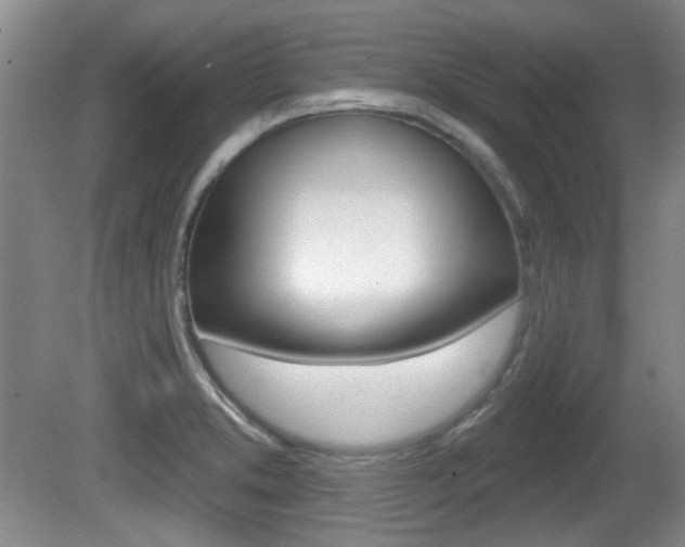 X0000081561373200701150948