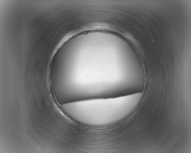 X0000081561374200701150948