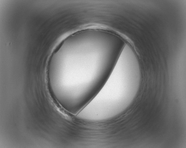 X0000081561375200701150948