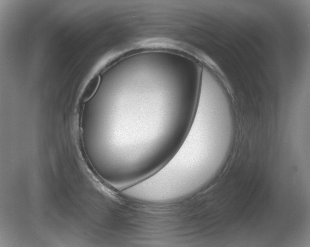 X0000081561376200701150948
