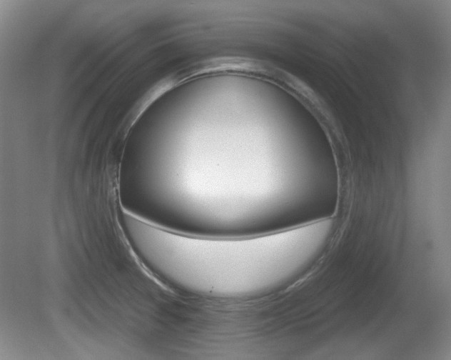 X0000081561377200701150948