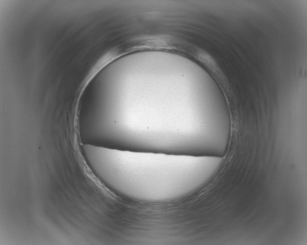 X0000081561378200701150948