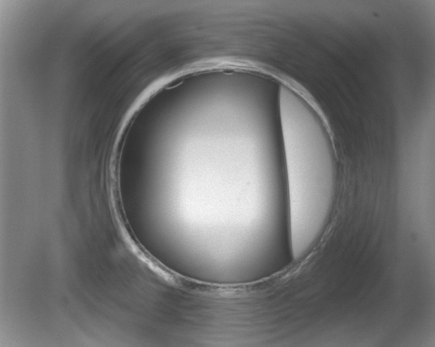 X0000081561381200701150948