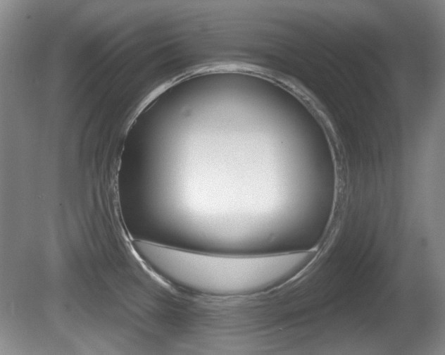 X0000081561385200701150948