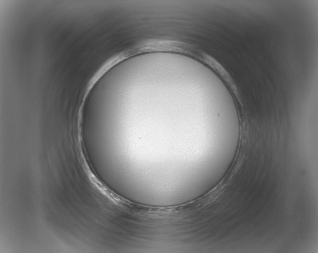 X0000081561386200701150948