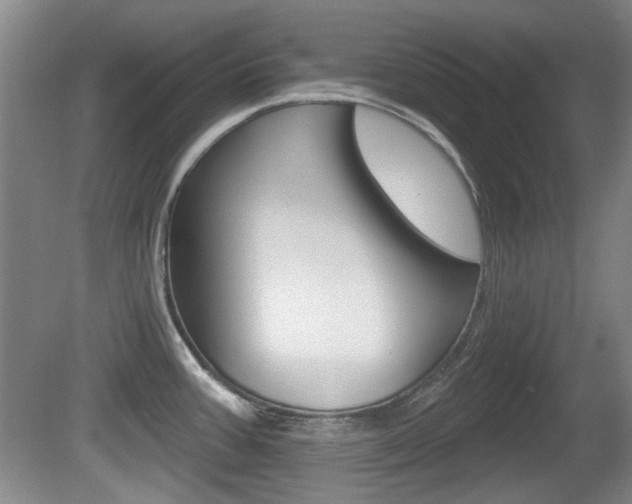 X0000081561387200701150948