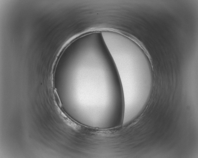 X0000081561388200701150948