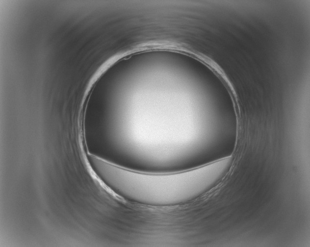 X0000081561389200701150948