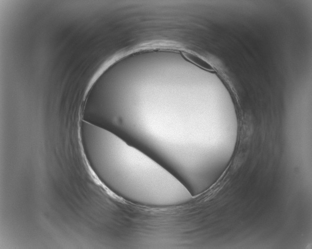 X0000081561390200701150948