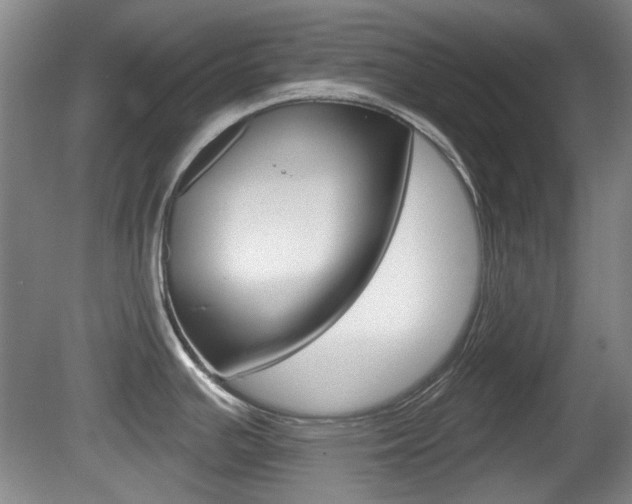X0000081561391200701150948