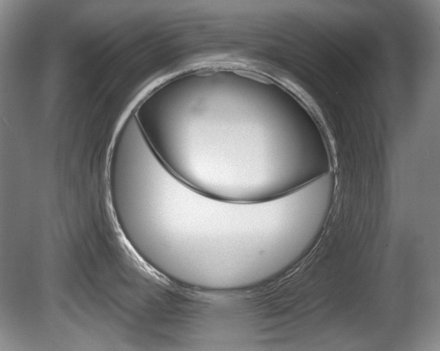 X0000081561392200701150948
